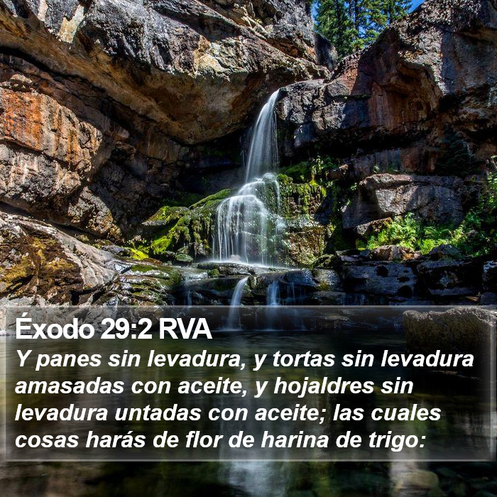 Éxodo 29:2 RVA Bible Study