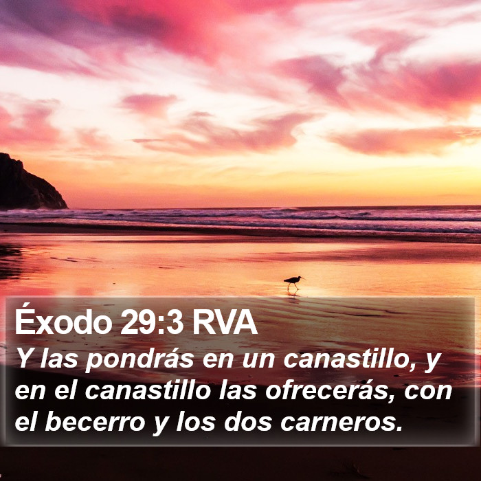 Éxodo 29:3 RVA Bible Study