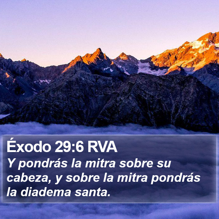 Éxodo 29:6 RVA Bible Study