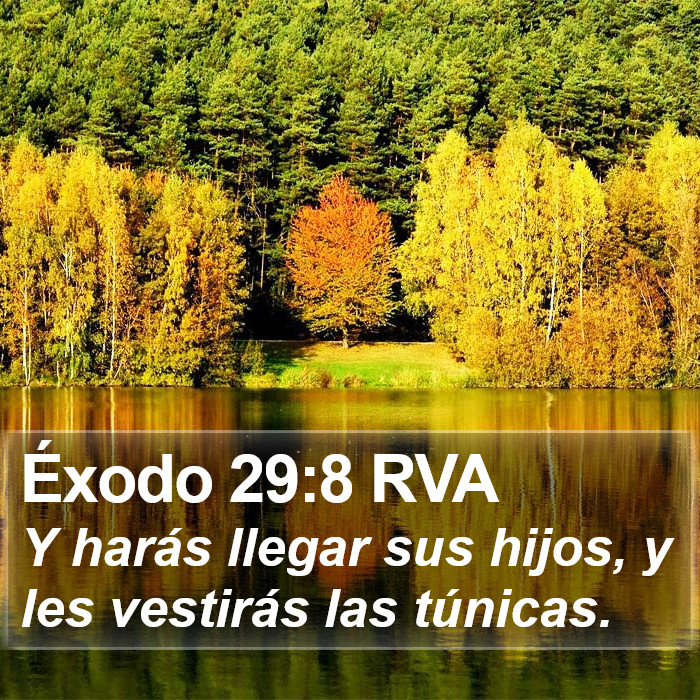 Éxodo 29:8 RVA Bible Study