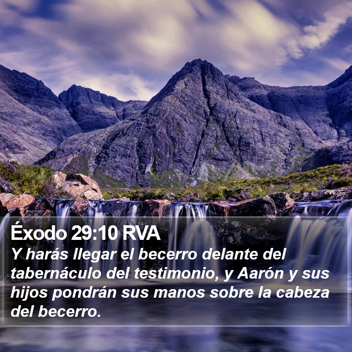 Éxodo 29:10 RVA Bible Study