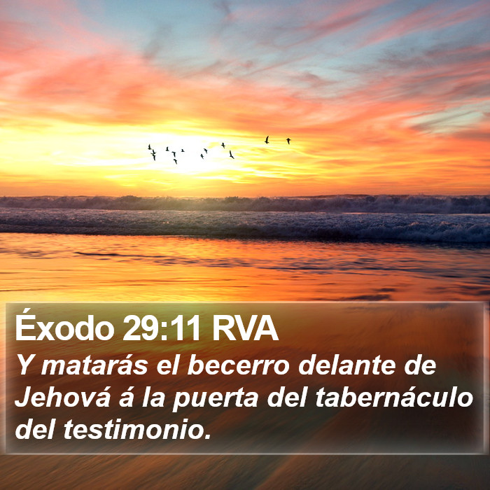 Éxodo 29:11 RVA Bible Study