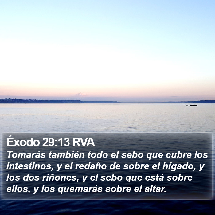 Éxodo 29:13 RVA Bible Study