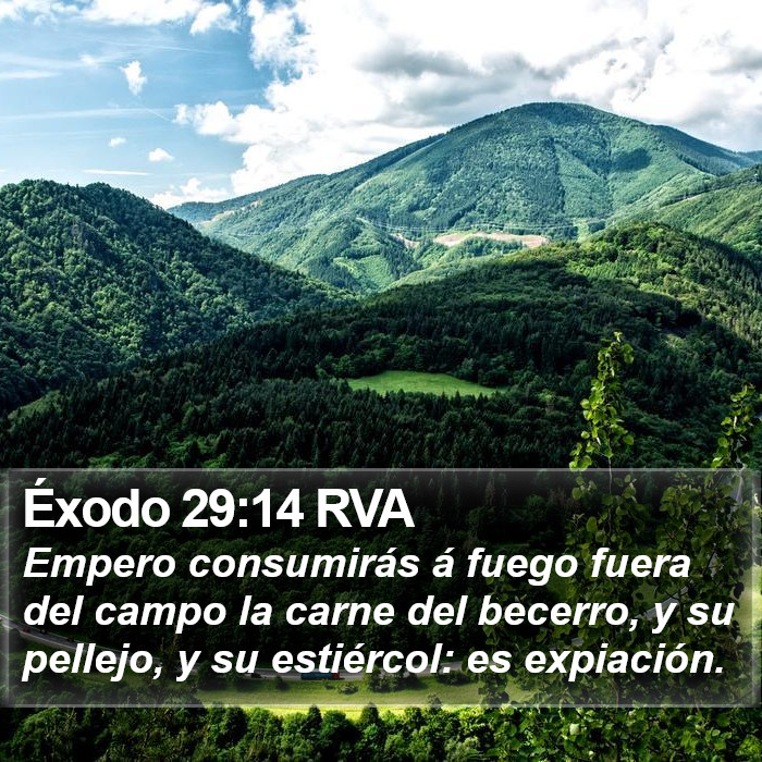 Éxodo 29:14 RVA Bible Study