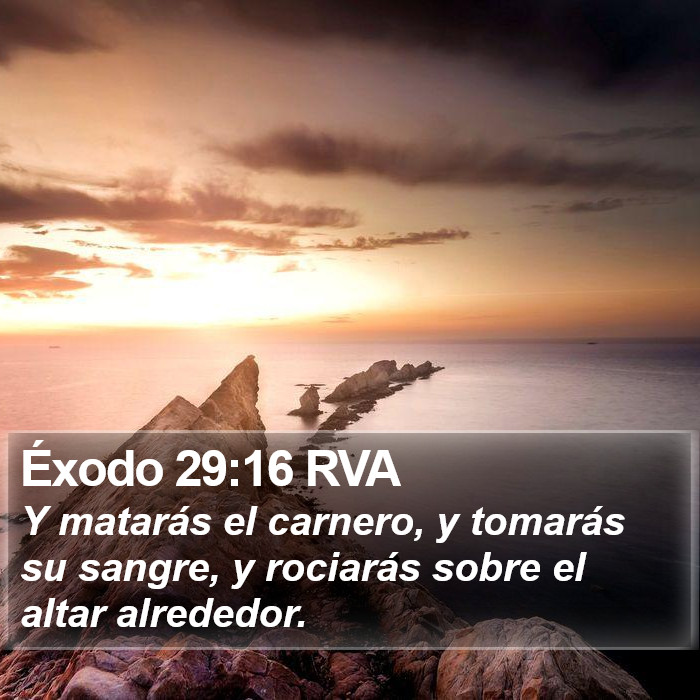 Éxodo 29:16 RVA Bible Study