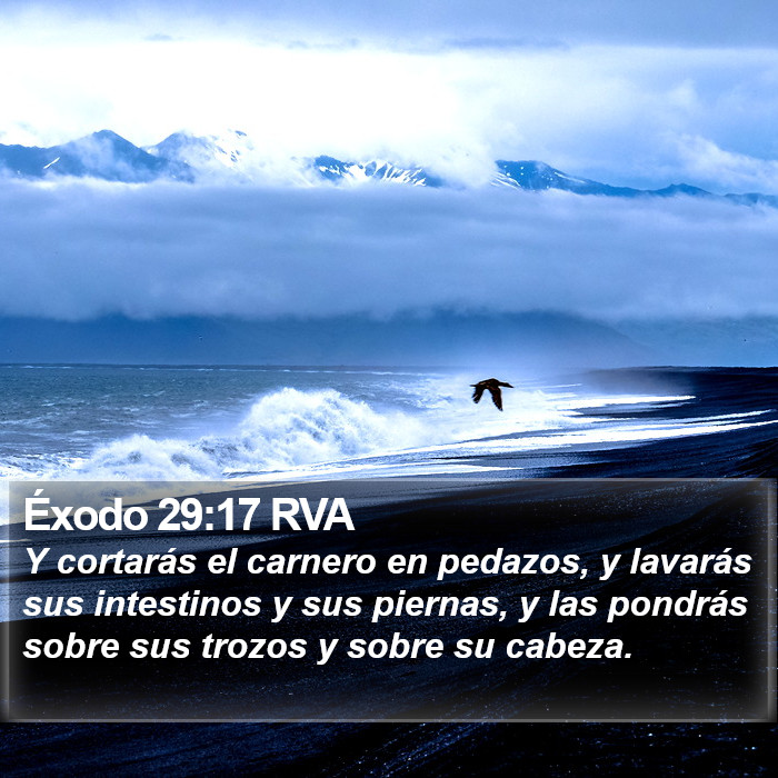 Éxodo 29:17 RVA Bible Study