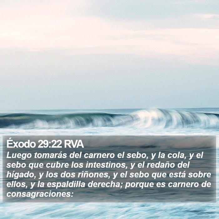 Éxodo 29:22 RVA Bible Study