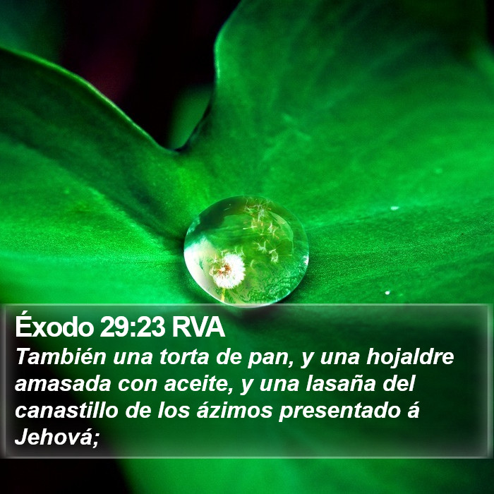 Éxodo 29:23 RVA Bible Study