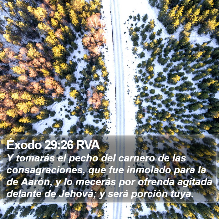 Éxodo 29:26 RVA Bible Study