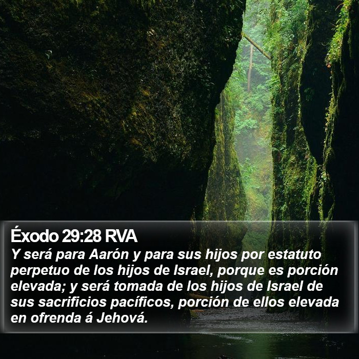 Éxodo 29:28 RVA Bible Study