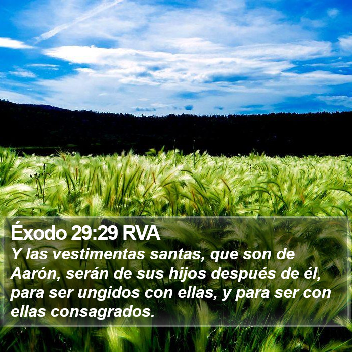 Éxodo 29:29 RVA Bible Study