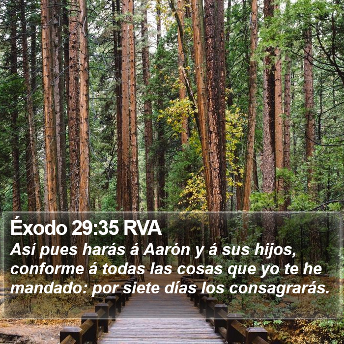 Éxodo 29:35 RVA Bible Study