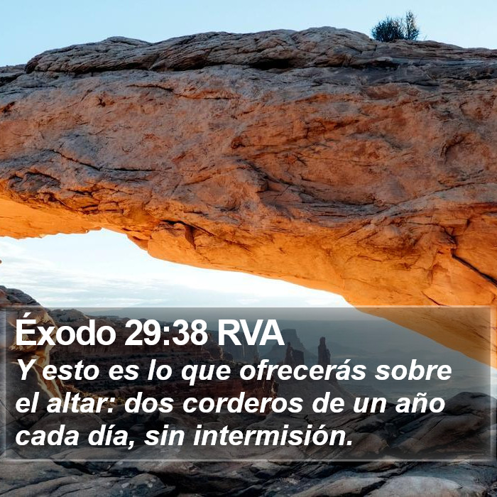 Éxodo 29:38 RVA Bible Study