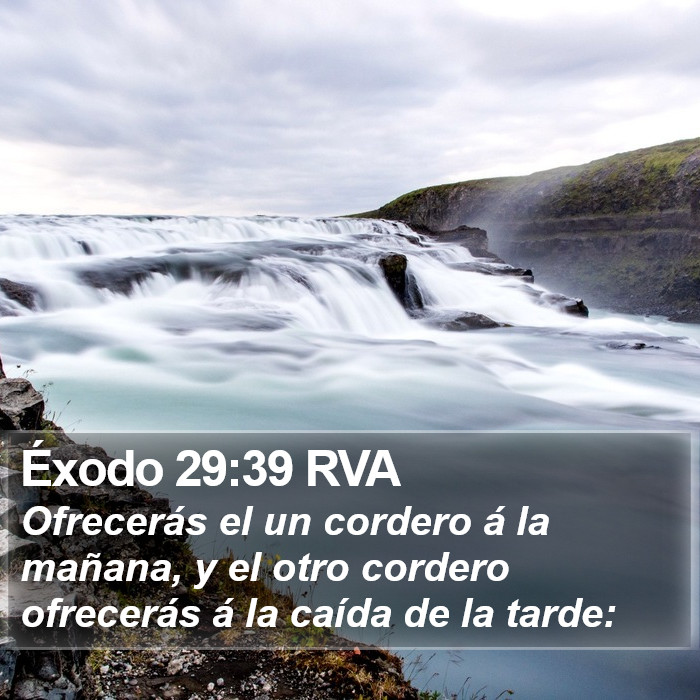 Éxodo 29:39 RVA Bible Study