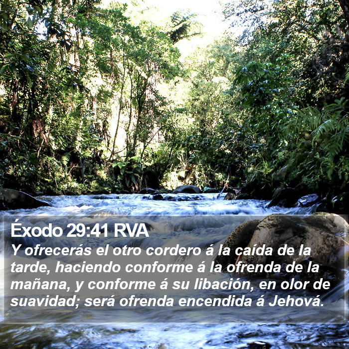 Éxodo 29:41 RVA Bible Study