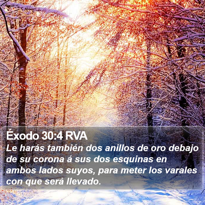 Éxodo 30:4 RVA Bible Study