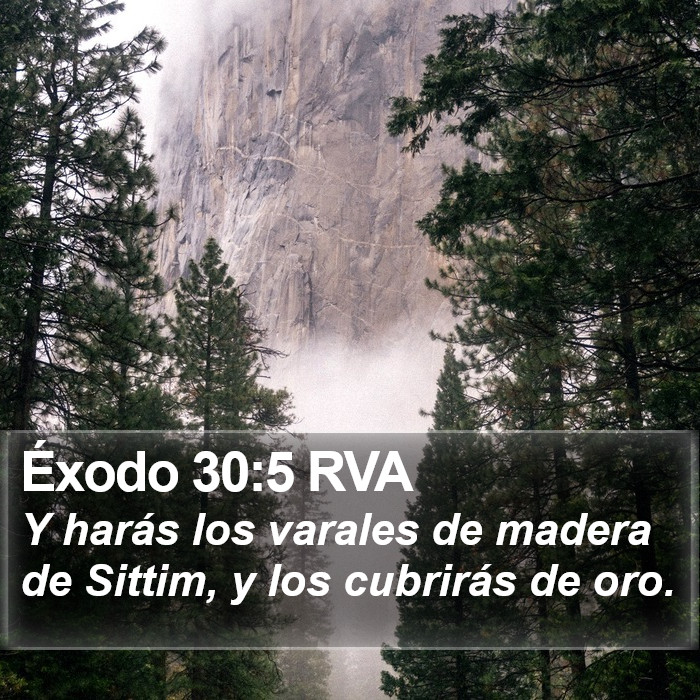 Éxodo 30:5 RVA Bible Study