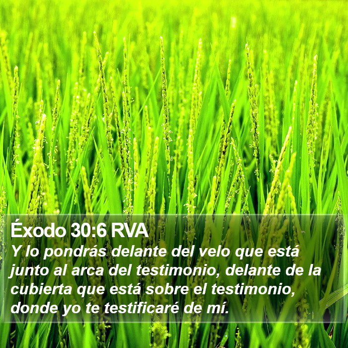 Éxodo 30:6 RVA Bible Study