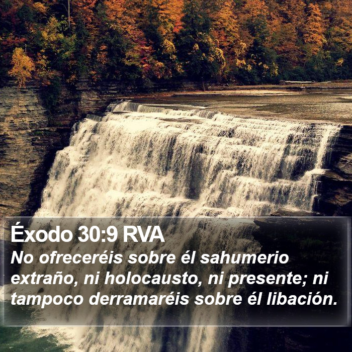 Éxodo 30:9 RVA Bible Study