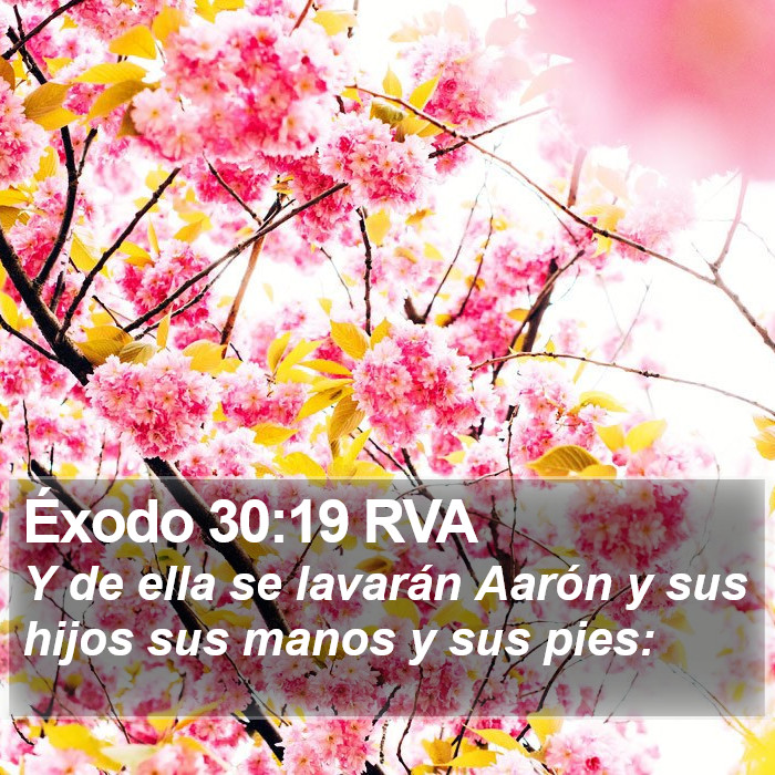 Éxodo 30:19 RVA Bible Study