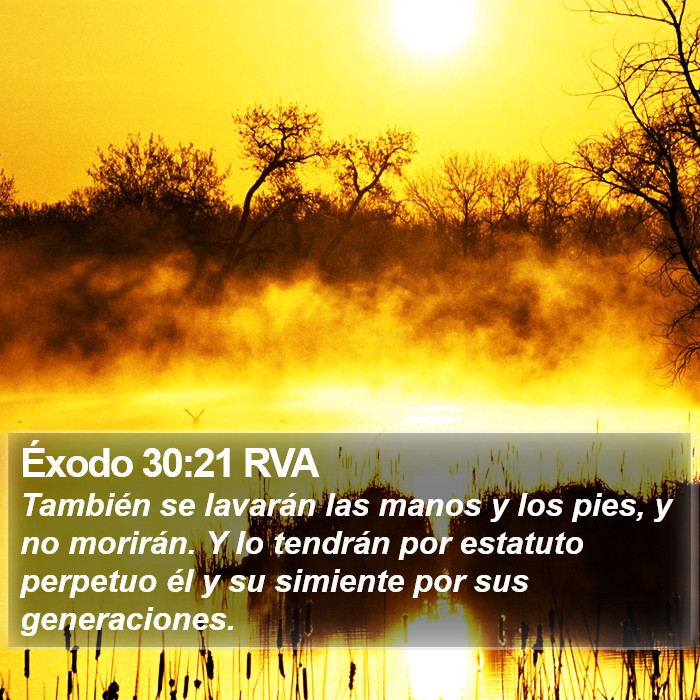 Éxodo 30:21 RVA Bible Study