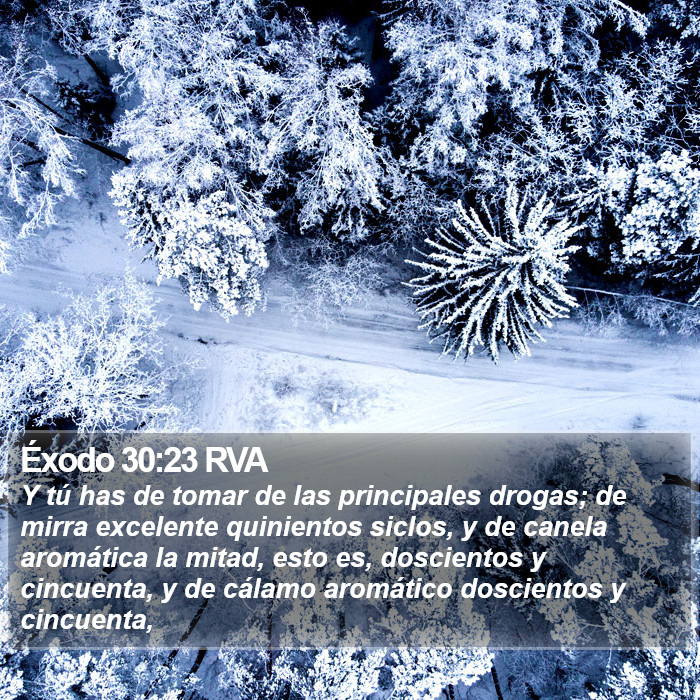 Éxodo 30:23 RVA Bible Study