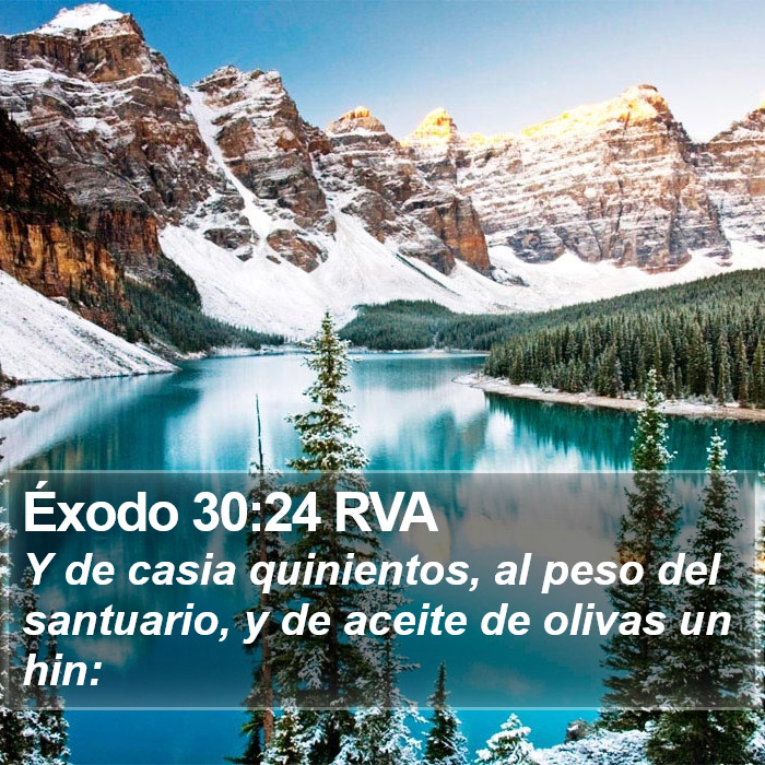 Éxodo 30:24 RVA Bible Study