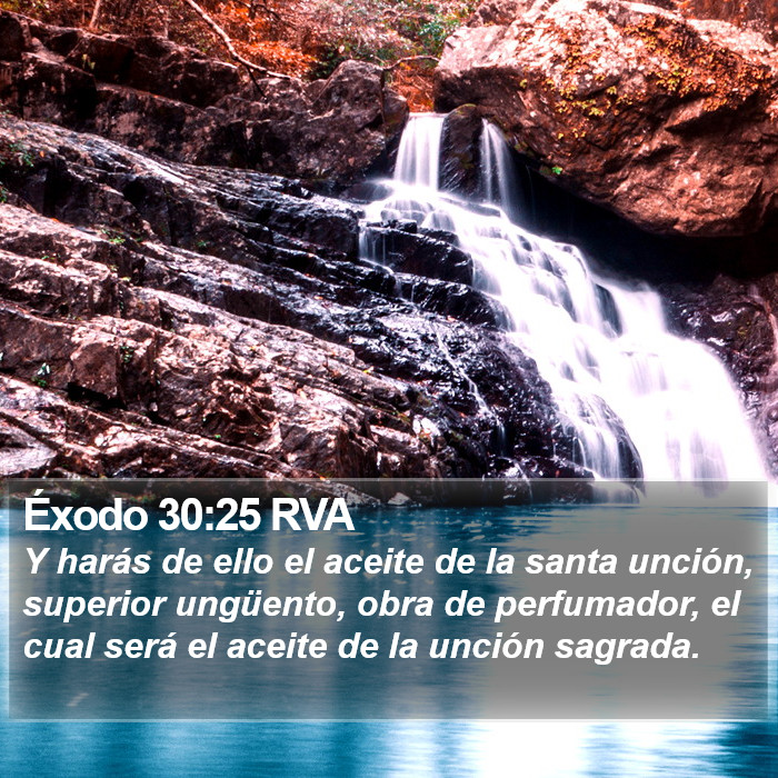 Éxodo 30:25 RVA Bible Study