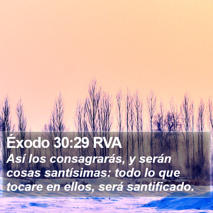 Éxodo 30:29 RVA Bible Study