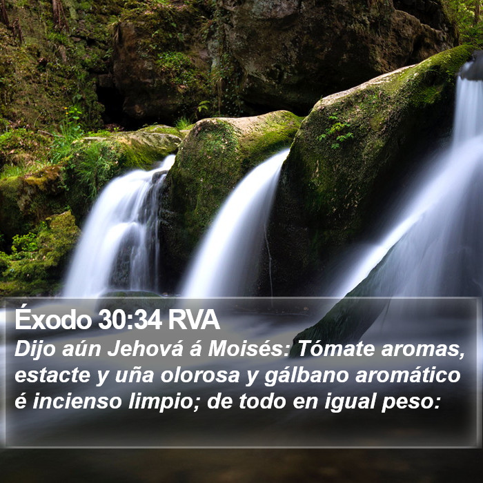 Éxodo 30:34 RVA Bible Study