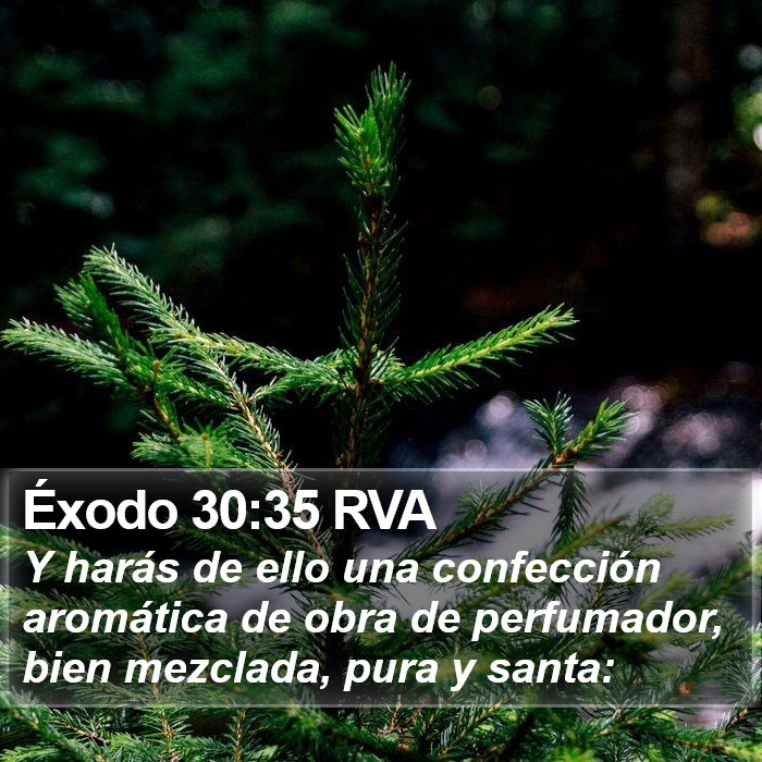 Éxodo 30:35 RVA Bible Study