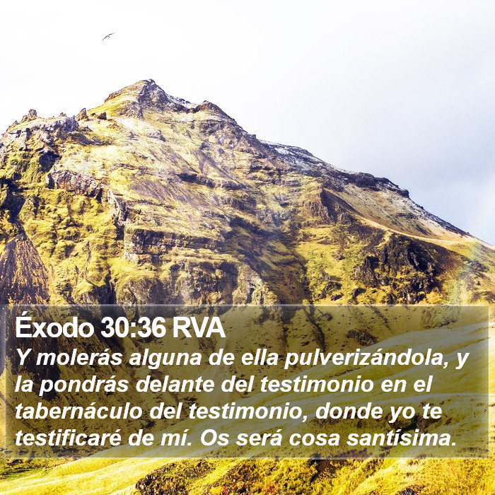 Éxodo 30:36 RVA Bible Study