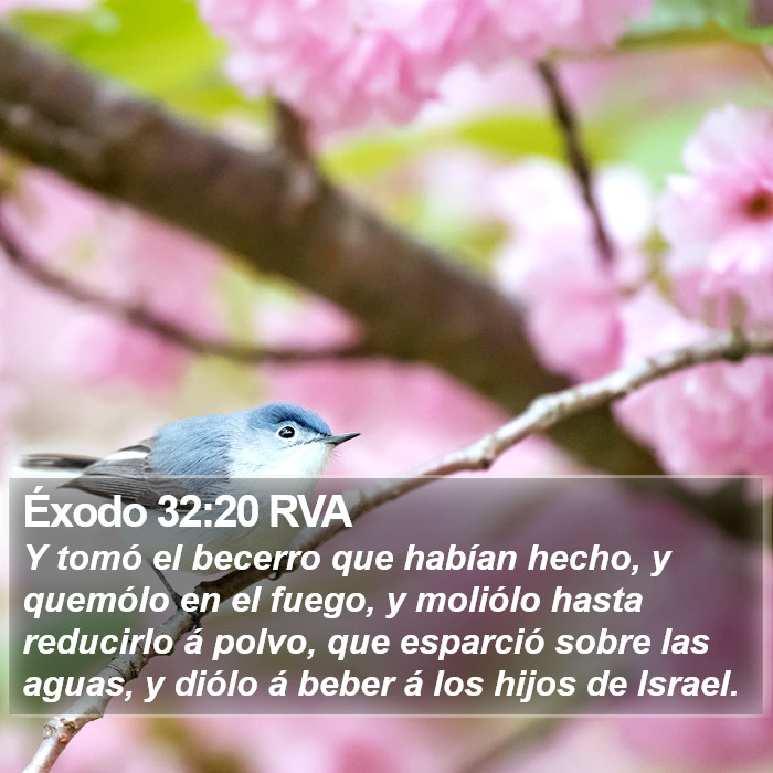 Éxodo 32:20 RVA Bible Study