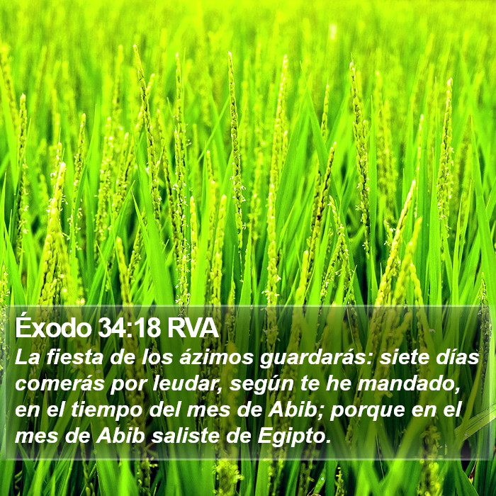 Éxodo 34:18 RVA Bible Study