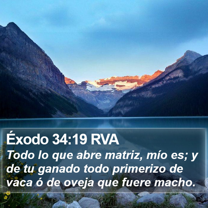 Éxodo 34:19 RVA Bible Study