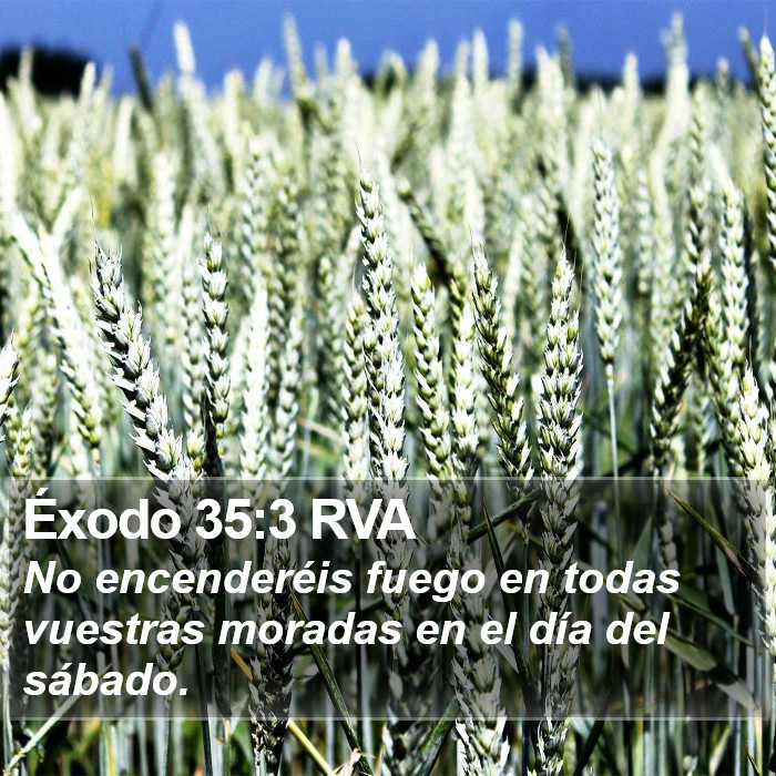 Éxodo 35:3 RVA Bible Study