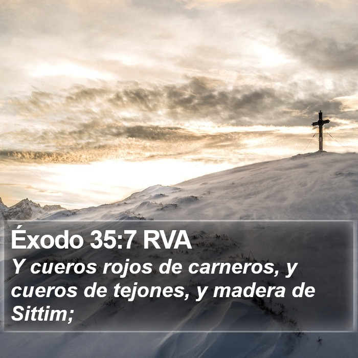 Éxodo 35:7 RVA Bible Study