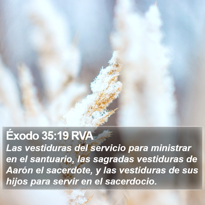 Éxodo 35:19 RVA Bible Study