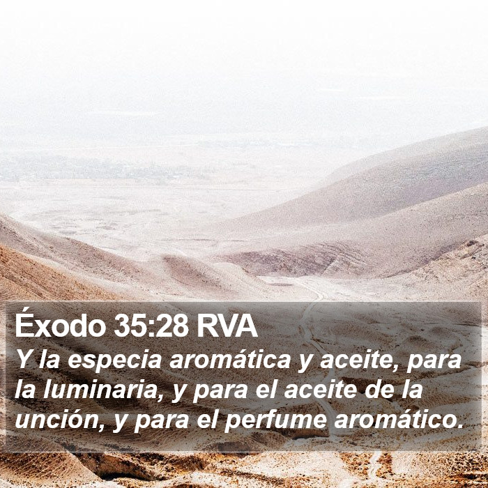 Éxodo 35:28 RVA Bible Study