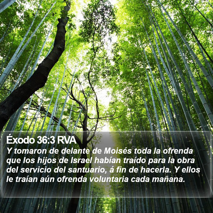 Éxodo 36:3 RVA Bible Study