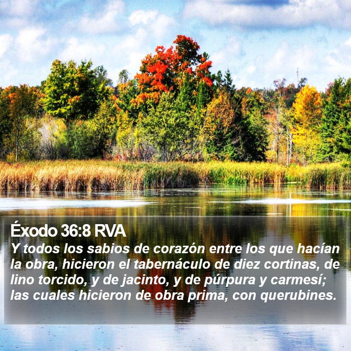 Éxodo 36:8 RVA Bible Study