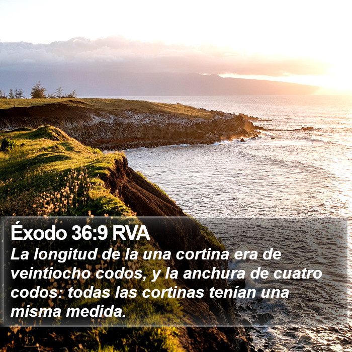 Éxodo 36:9 RVA Bible Study