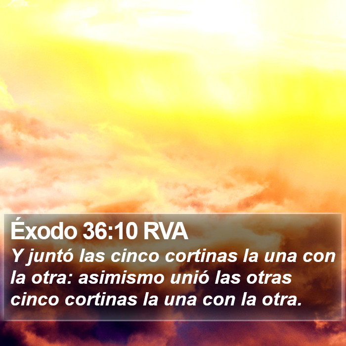 Éxodo 36:10 RVA Bible Study