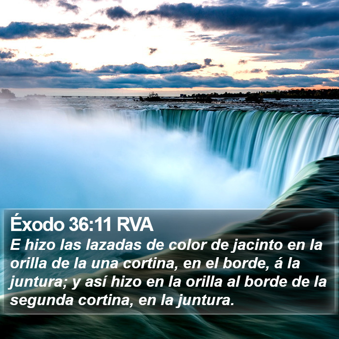 Éxodo 36:11 RVA Bible Study