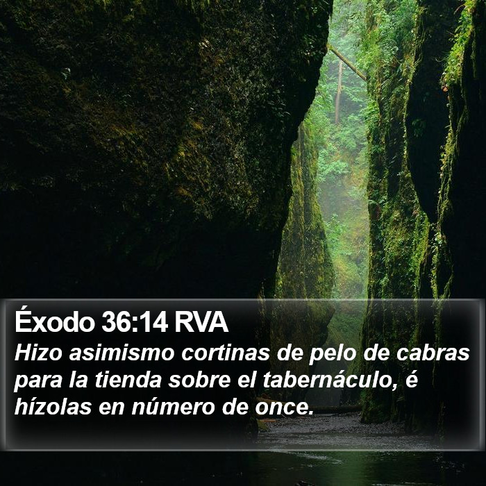 Éxodo 36:14 RVA Bible Study