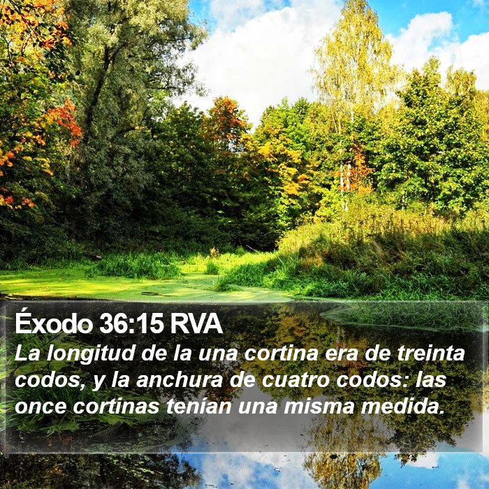 Éxodo 36:15 RVA Bible Study