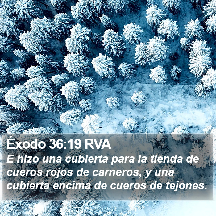 Éxodo 36:19 RVA Bible Study