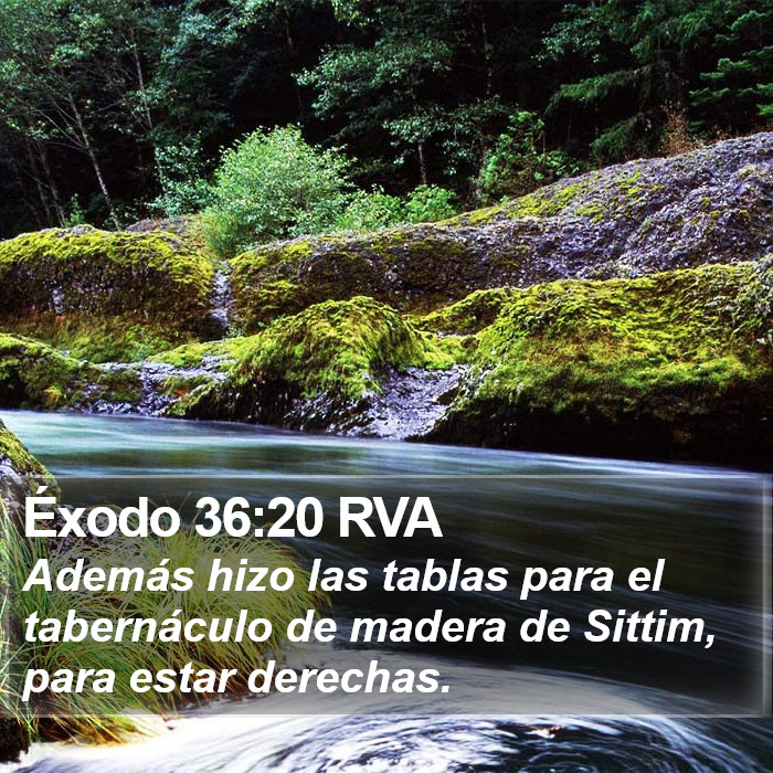 Éxodo 36:20 RVA Bible Study