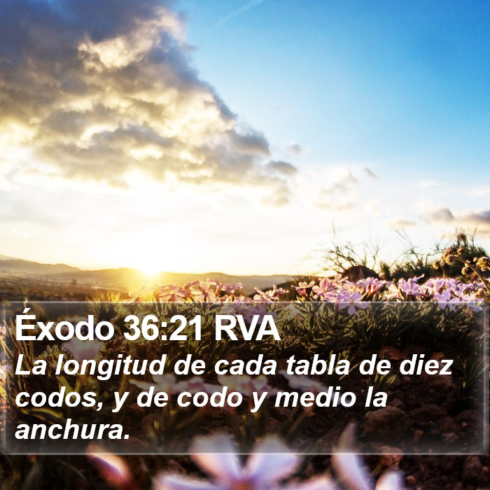 Éxodo 36:21 RVA Bible Study