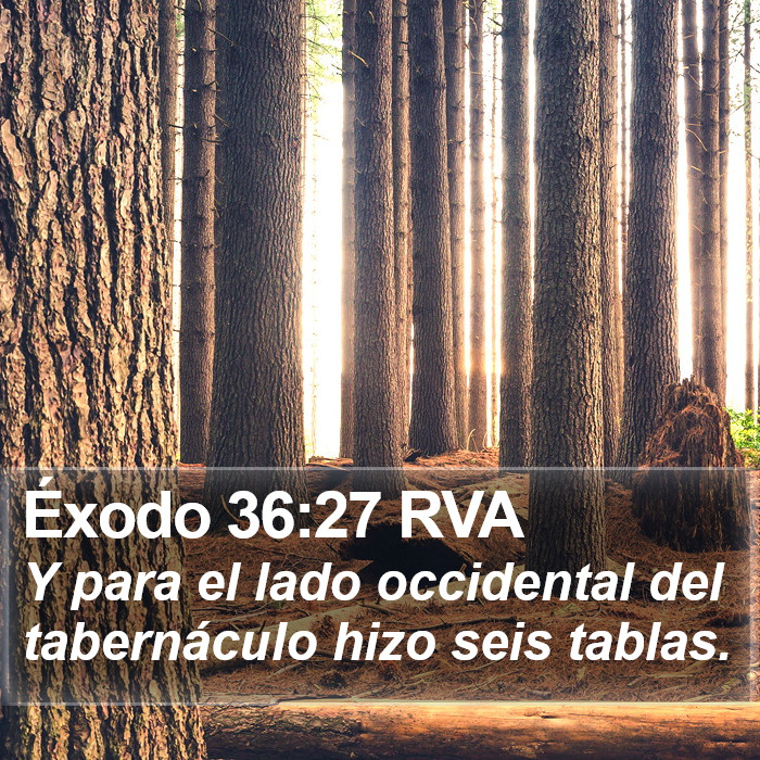 Éxodo 36:27 RVA Bible Study